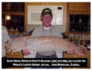 scotts-seafood-worlds-largest-shrimp